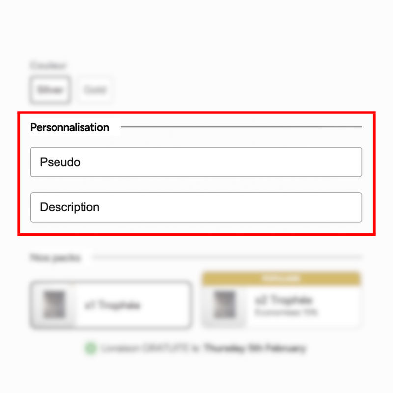 Step 2: Enter your customization